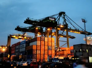 divulgacao-portal_brasil (1)