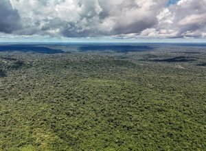 dji_20260514133612_0223_d_55279773377_o