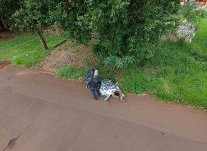 dji_fly_20260520_150614_0269_1779304095455_photo_beautify_1779362551,3069