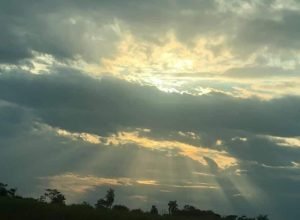 dourados_8_17355571496066_17436801408587_1745021340681_17579344860023_1764038538,3123