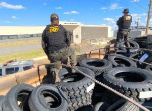 e02d4493-4604-4332-9bf8-a43546194a93