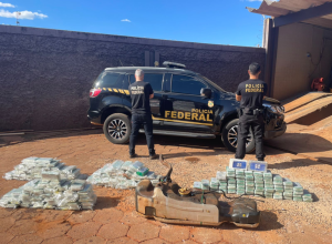 e0dc6692-8701-42cb-9388-16971bbaf0ef