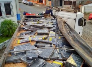 e6686eee-0170-4921-82a9-e0dd85f1608c