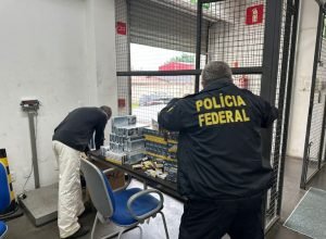 e6af51b4-abce-49dd-bafb-97b452107728