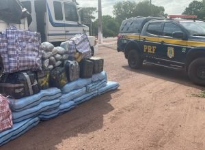 e8380b29-c7a4-42c5-bee4-6189e2bf2613