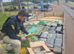 e8e24005-4794-40d8-981e-0f18376e55bb