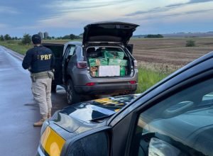 f62eaa1e-b12a-49af-90bd-8f2966646c18