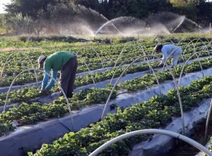 fe211b82-6c31-4e0c-ad61-e8ab111dcd1b