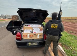 fea2d8e6-8fdb-483b-989f-46ece8f78743