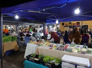 feira_ipes1