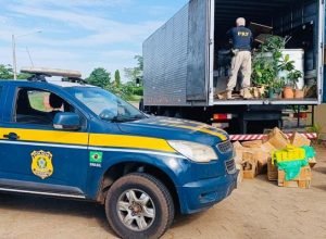 ffcbe189-5b15-4655-857a-3bf6f972e182