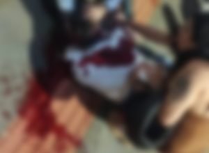 fotoram_1752413145,0929