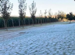 geada_1778532646,7494