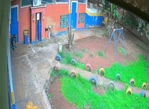 homem-e-preso-apos-furtar-e-danificar-ceim-em-dourados-1770124455169-thumb