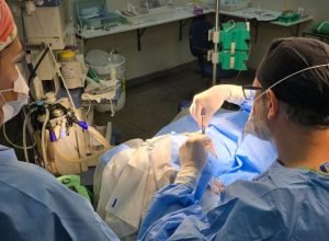 hrms-mutirao-da-mulher-730x480