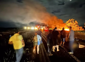 image_1744026301,8068