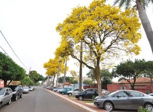 ????????????????????????????????????