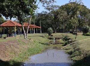 limpeza-parque-antenor-martins_-14-1-scaled-e1789738977646