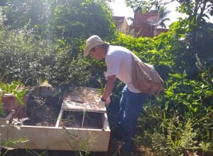 mutirao_dengue_florida-2-1-e1764690914998