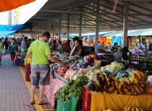 nova-feira-_-toto-camara_-7