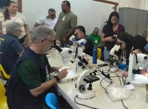 oroupuche-02-e1758717750391-730x480