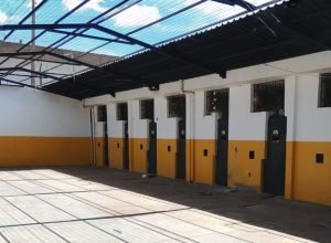 pavilhao-melhorias-maxima-1-730x480