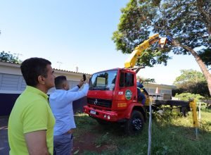 poda-arvore-_ubs-vila-hilda_-7ed