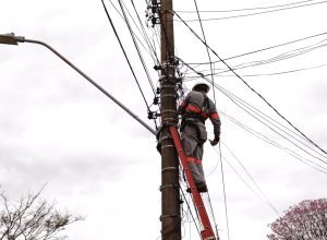 poda-arvores-marcelino_marcal_fios-eletricos_-51ed