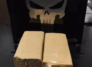 policiais-penais-interceptam-quase-1-kg-de-droga-lancado-por-drone-na-ped-17838571954378