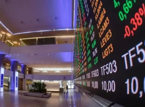 primeira-previa-da-carteira-do-ibovespa-b3-para-janeiro-de-2025 (1)