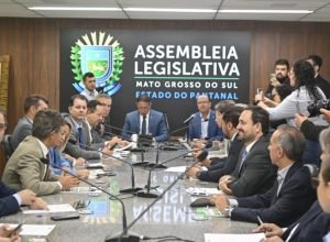 reuniao-alems-vice-gov-Foto-Max-Arantes-CasaCivil-730x480