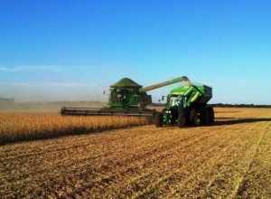 soja_colheita_foto_dinheirorural