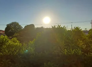 sol.jpg