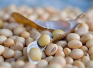soybeans-in-open-pods-close-up-food-2026-01-08-07-14-45-utc_1 (1)