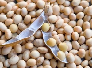 soybeans-in-pod-on-top-of-pile-2026-01-09-00-58-38-utc