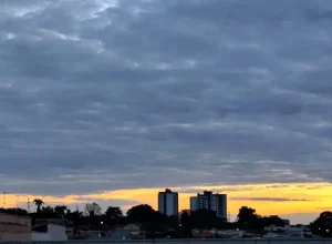 tempo-wilmar-carrilho