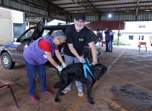 vacina-caes-gatos_ccz_drive-thru_-23ed-1-1