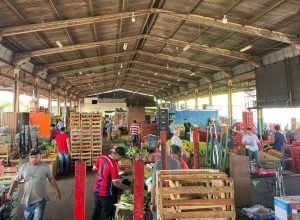 volume-comercializado-4-e1742421438203