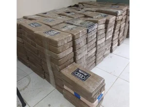 whatsapp_image_2024-09-18_at_11.21.22