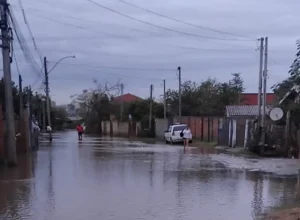 whatsapp_image_2025-06-26_at_18.33.36