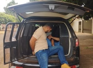 whatsapp_image_2025_03_19_at_09_1742385710,7542