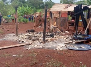 whatsapp_image_2025_03_31_at_11_1743432646,4403