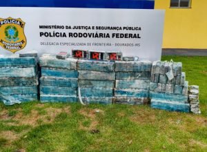 whatsapp_image_2025_12_16_at_16_1765914998,3442