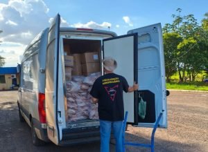 whatsapp_image_2026_02_11_at_10_1770822261,3129